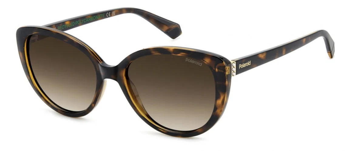 Polaroid Core PLD4176 Sunglasses - view 4